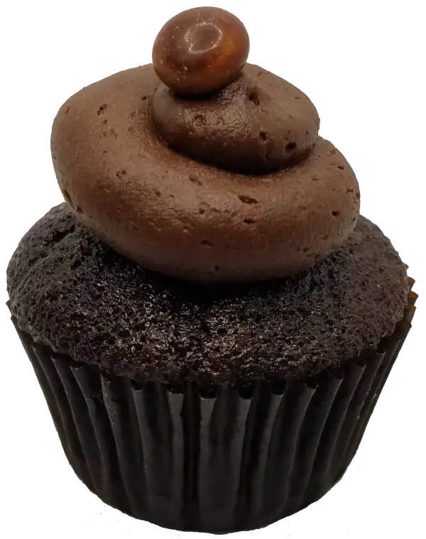Chocolate cupcake